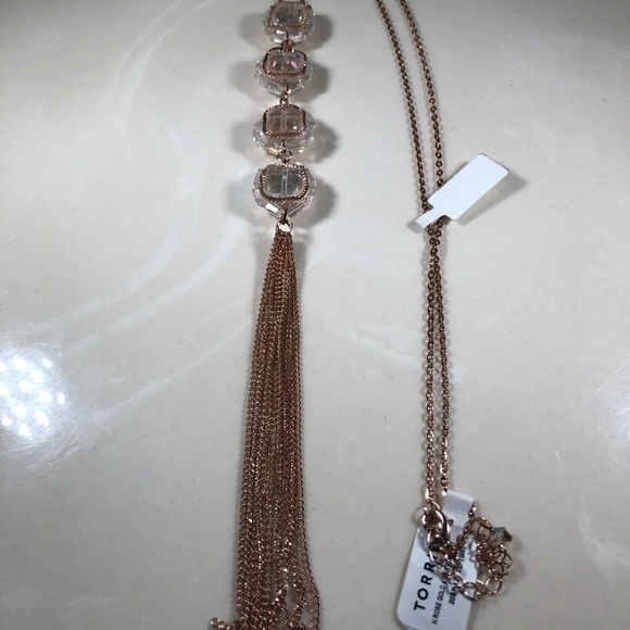 Jeweled Tassel Necklace - Picture 4 of 5